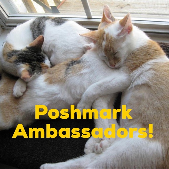 🐈 🐾 Hello! Welcome to come our human closet 🐈🐾 - Picture 2 of 13